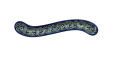 A132 D87