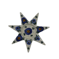 A293 D40